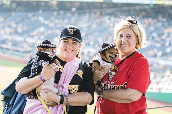 Renee Felix, left with her Chihuahua, Francesca, and her mother, Linda Toth with her Chiweenie, Heather, got the dogs all dressed up for Pup Night at PNC Park.