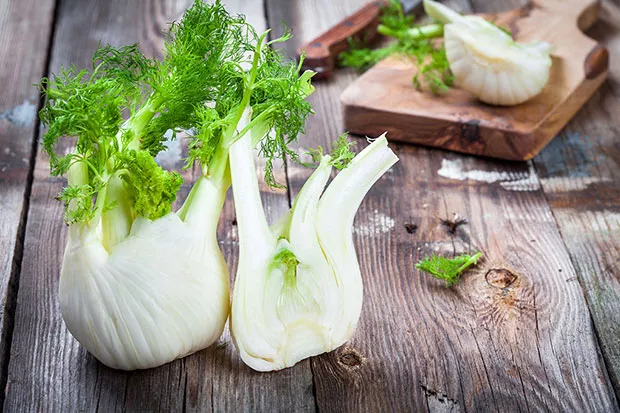 recipeweb_fennel_50.jpg