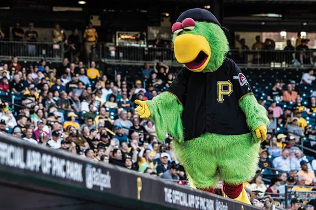 The Pirate Parrot - CP FILE PHOTO