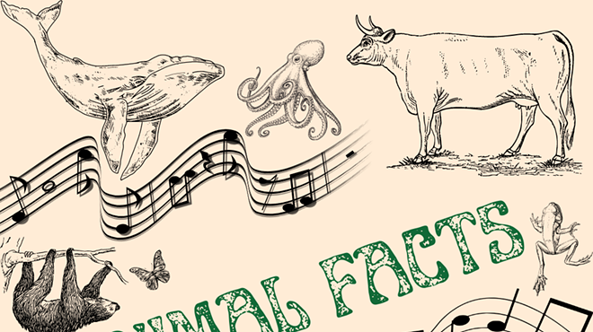Animal Facts (Musical Improv)