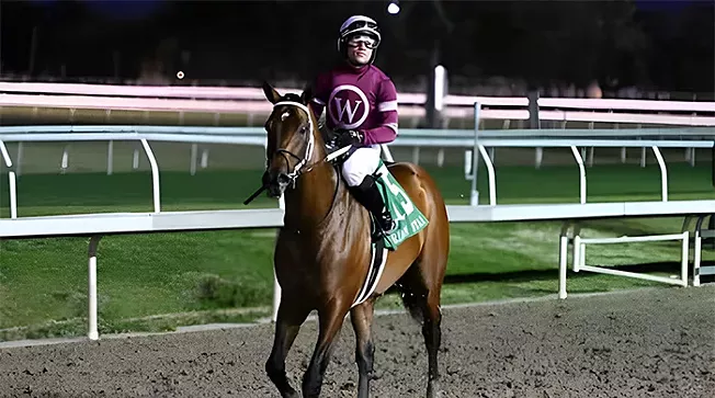 What To Know Before Betting On The Kentucky Derby - Vimarsana News