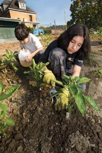 Weston Caloyer and other kids from the Kentucky Avenue School tend the Enright Park garden last summer. - HEATHER MULL