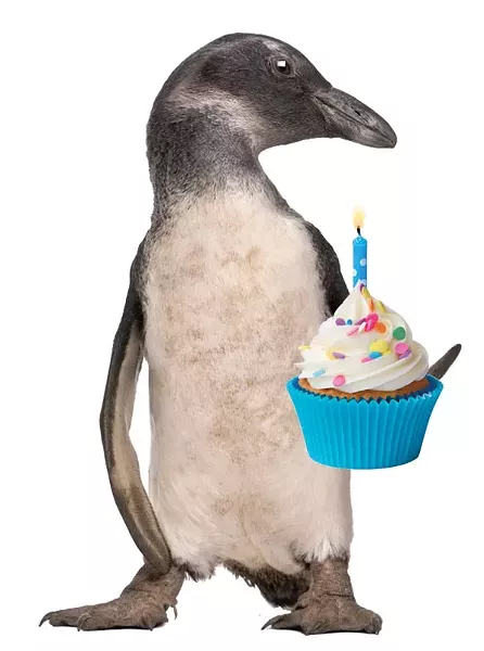 wkids_penguin.jpg