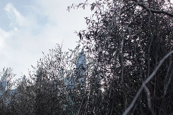 Winter Landscape Cradling Bits of Sparkle<