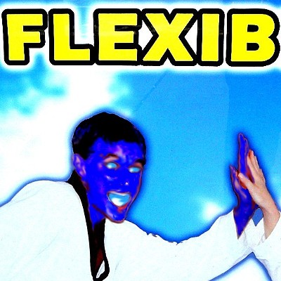 FLEXIB
