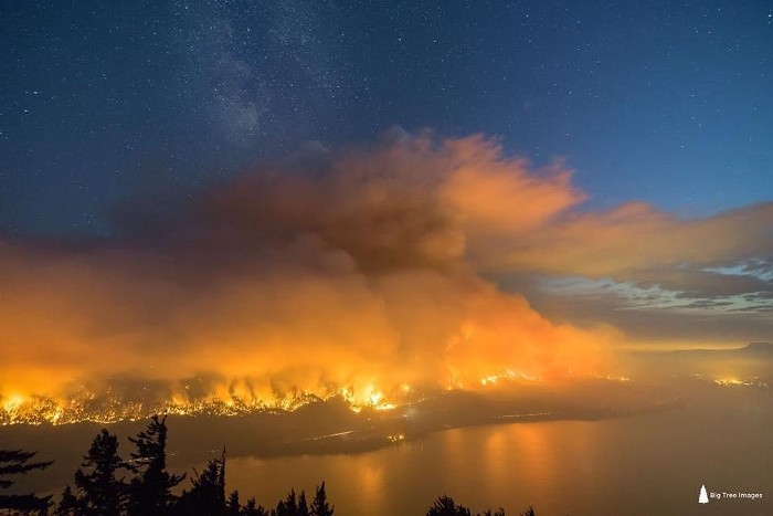 Big_Tree_Images_Eagle_Creek_Fire.jpg