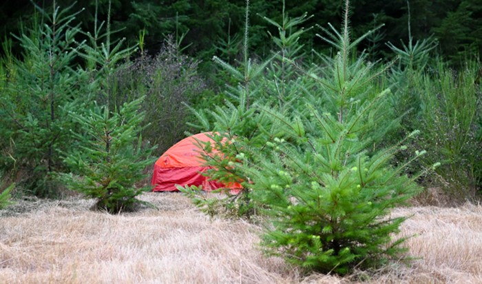 Camping at Dundee in 2021. Camping at Dundee in 2021.