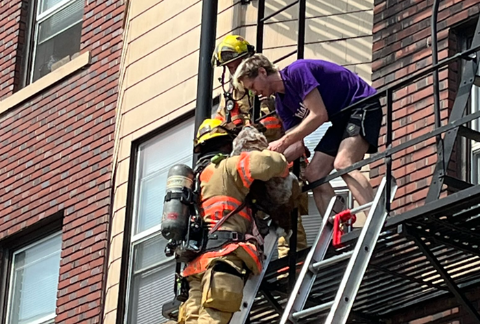 Good Morning, News: Election Night Results, Fire Destroys Portland Apartment Building, and... What's This? The Mercury Returns to Print! 🎉💥👏 - Vimarsana News