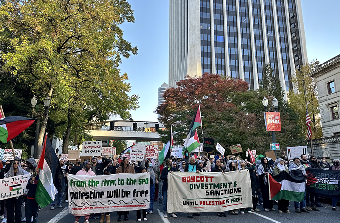 With a Tenuous Ceasefire in Gaza, Portland Councilors Pledge to Investigate the City's Links to Israel