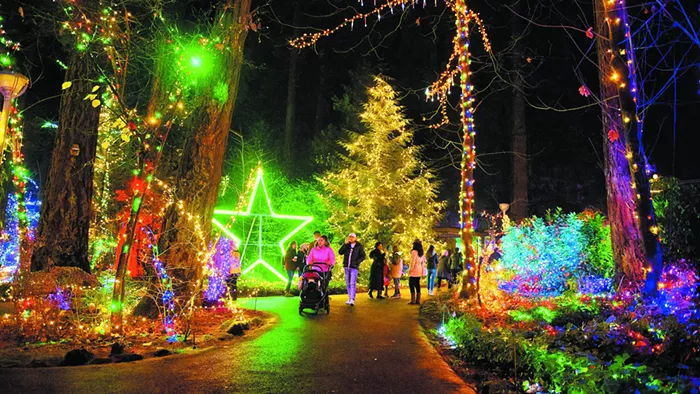 The Mercury's Do This, Do That: Your Top Events for December 1-7