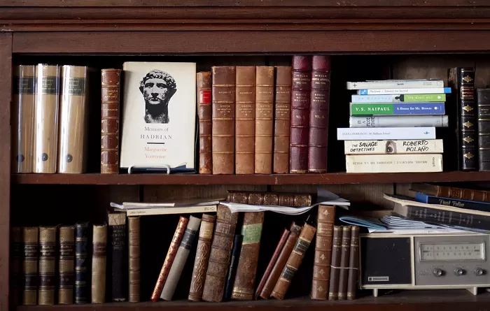 Art Snack: Mother Foucault's Nonprofit to Buy Building, 2026 World Naked Bike Ride Date, and RIP Sheridan Fruit