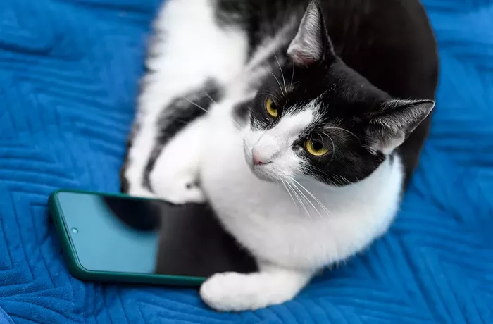 YOUR SUNDAY READING LIST: Tax (and Eat) the Rich, Where to Get Gigantic Quesadillas, and Studying to Be a PhD in Poly