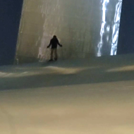 Local Man Skis Down Arch Steps, St. Louis Officially Still Wild (Video)