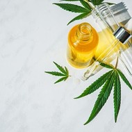 Best CBD Oil 2022: Top Cannabis Oil Brands To Buy CBD