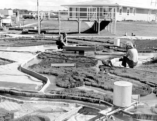 The Mississippi River model during its last days of use in the early 1970s. - U.S. ARMY CORPS OF ENGINEERS VIA PLACES