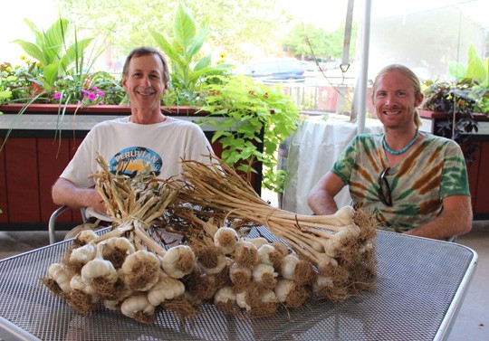 Schlafly gardener Jack Petrovic and assistant gardener Nolan Kowalski with various types of garlic including Creole Red, Music Pink and California Late - MABEL SUEN