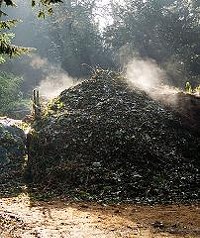 A compost heap. - ANDREW DUNN, WIKIMEDIA COMMONS