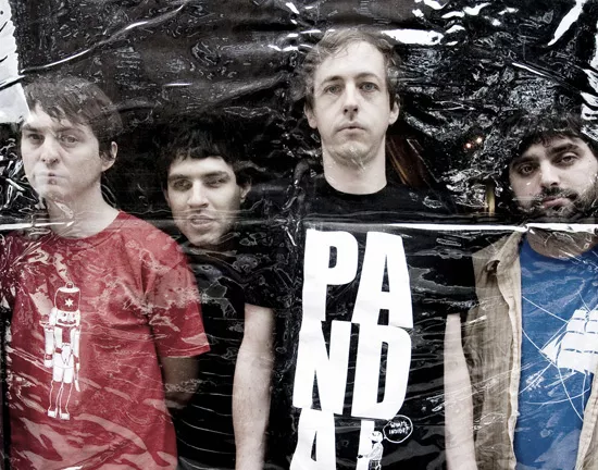 animal collective