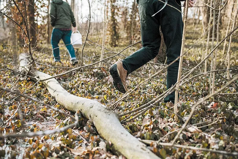 Cold weather doesn't keep the pair from the hunt. - VIRGINIA HAROLD