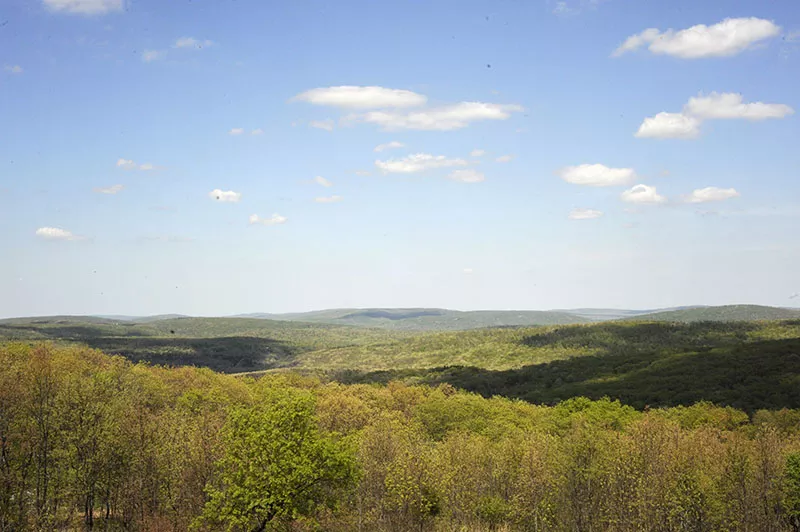 Breathe deeply: You're in nature now. - PHOTO BY KELLY GLUECK