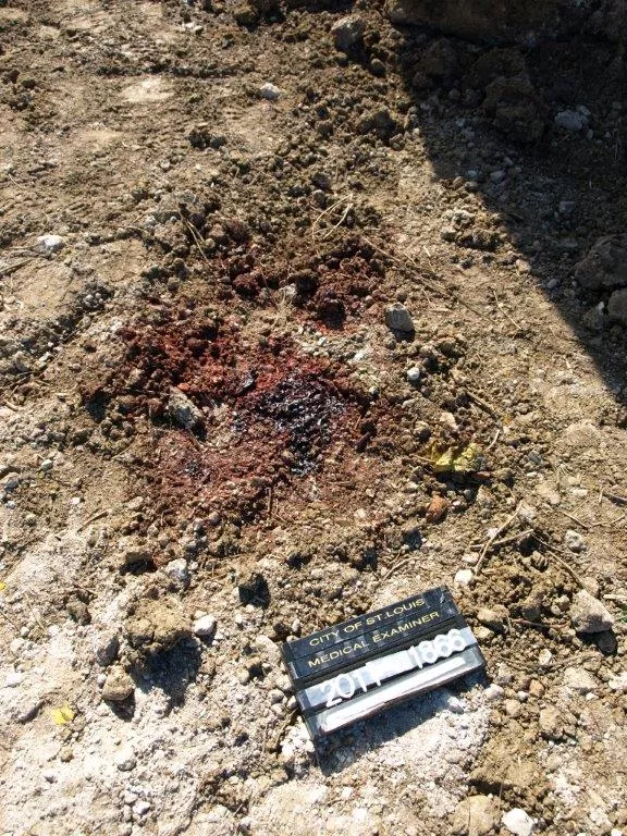 City Failed to Preserve Any DNA Evidence from Rock at Bob ...