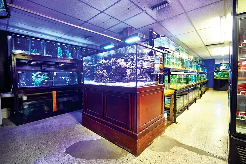 Aqua World has operated for more than 50 years at Gravois and Gustine avenues. - THEO WELLING