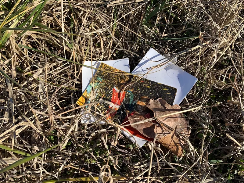 Photos tangled in the grass. - JAIME LEES