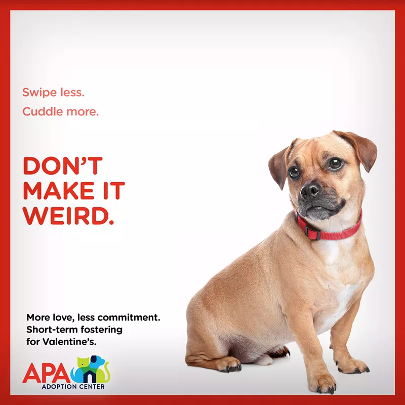 COURTESY OF THE APA