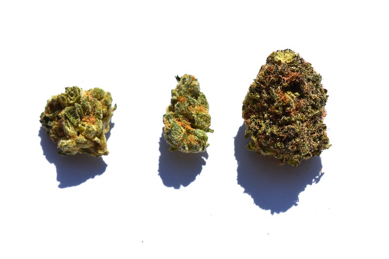 From left to right: Grease Monkey, Mama's Pie, Purple Sunset. - TOMMY CHIMS