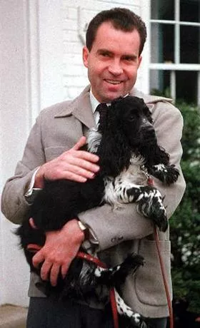 In Praise Of The Little Dog That Saved Richard Nixon S Shameless Hide News Blog In Praise Of The Little Dog That Saved Richard Nixon S Shameless Hide News Blog