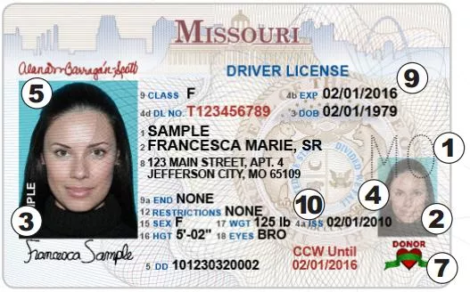 Mo Driver