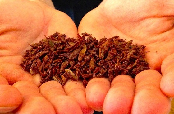 FRIED GRASSHOPPERS AT GRINGO | CARY MCDOWELL