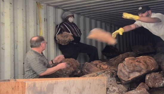 Hibdon Hardwood's employees sort through newly acquired wood. - SCREENSHOT FROM THE VIDEO.