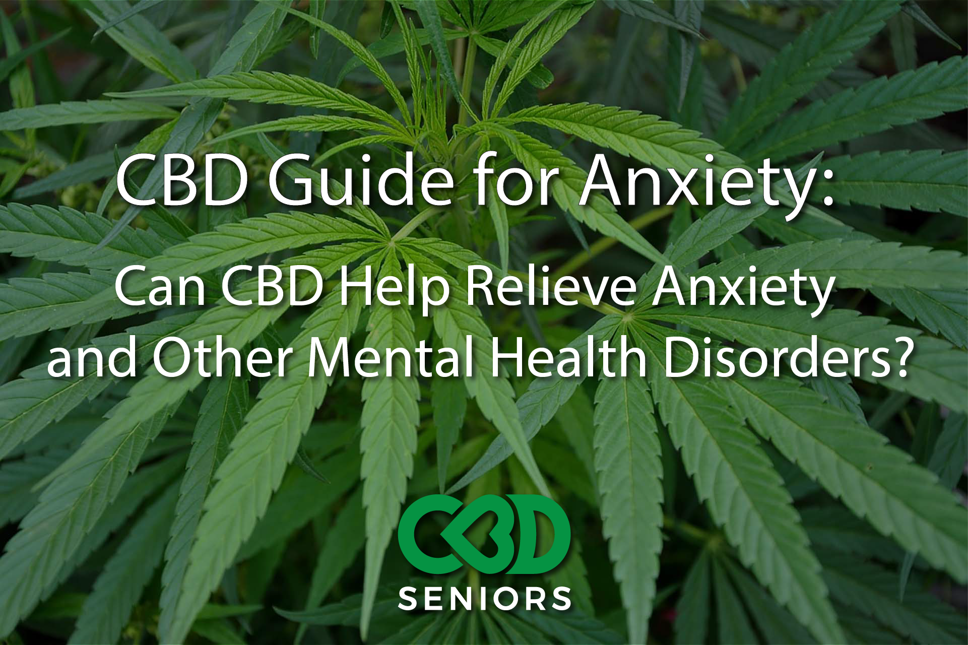 3 Easy Ways to Take CBD Oil for Anxiety - wikiHow