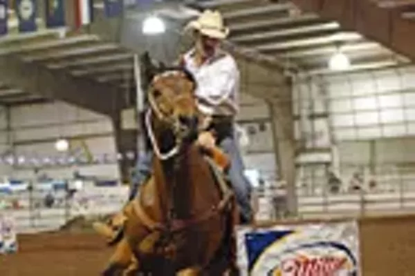 gay rodeo st louis roommate big dick story gay