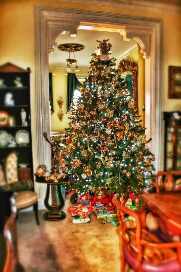 Lafayette Square Holiday Parlor Tour Night & Day St. Louis St
