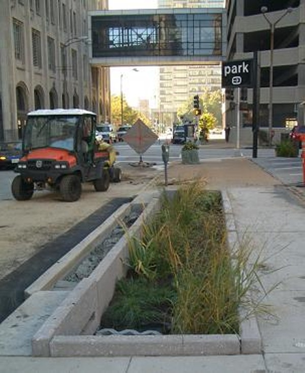 Downtown St. Louis Gets Rain Garden, More Headed to South Grand Next Year | News Blog