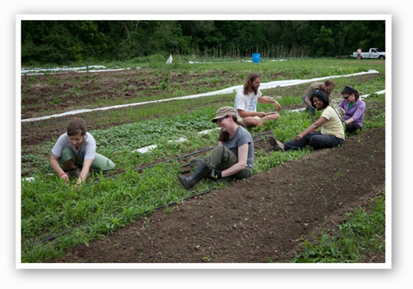 Earthdance Farms A Model Of Sustainability In Ferguson Photos