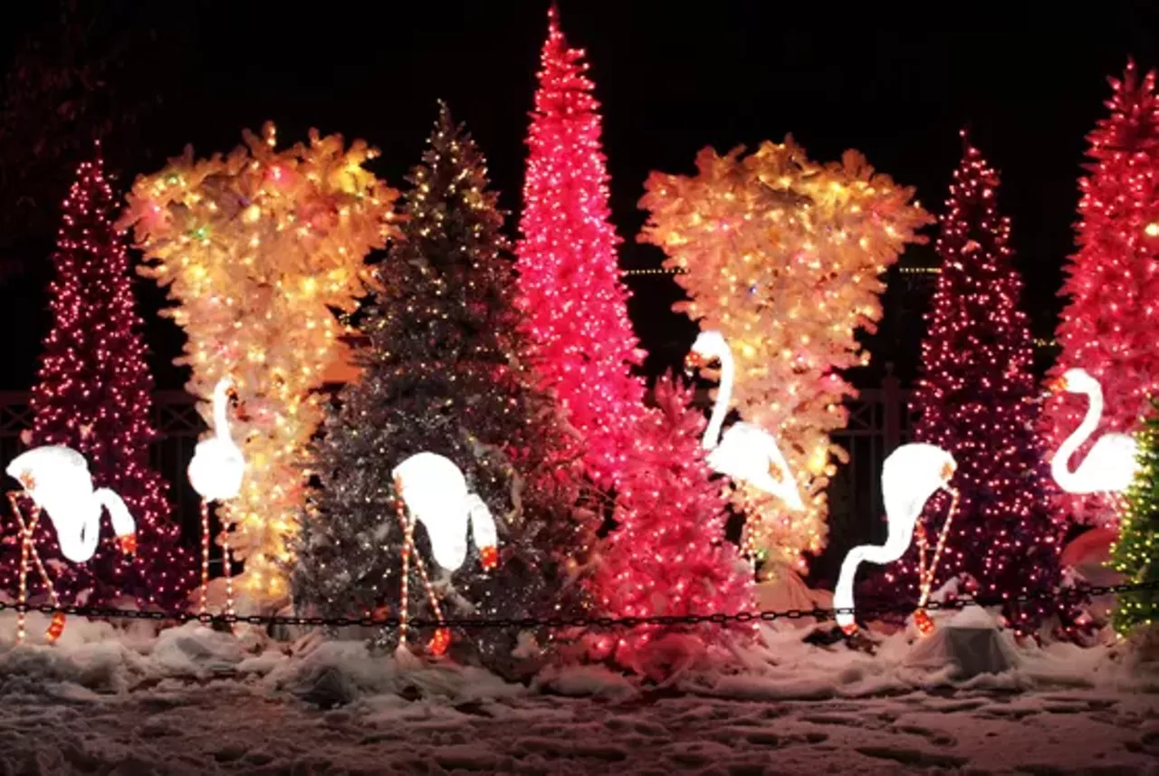 St Louis Zoo Wild Lights Reviews