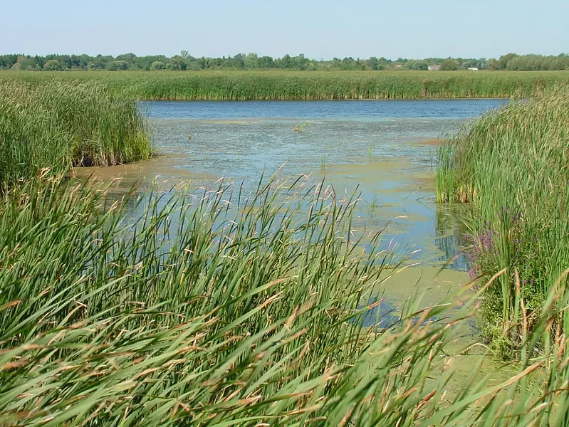 A view of Braddock Bay and its wetlands. - PHOTO COURTESY U.S. ARMY CORPS OF ENGINEERS