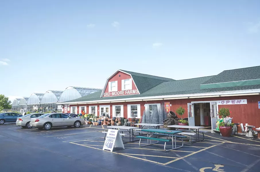 Gro-Moore Farms in Henrietta. - FILE PHOTO