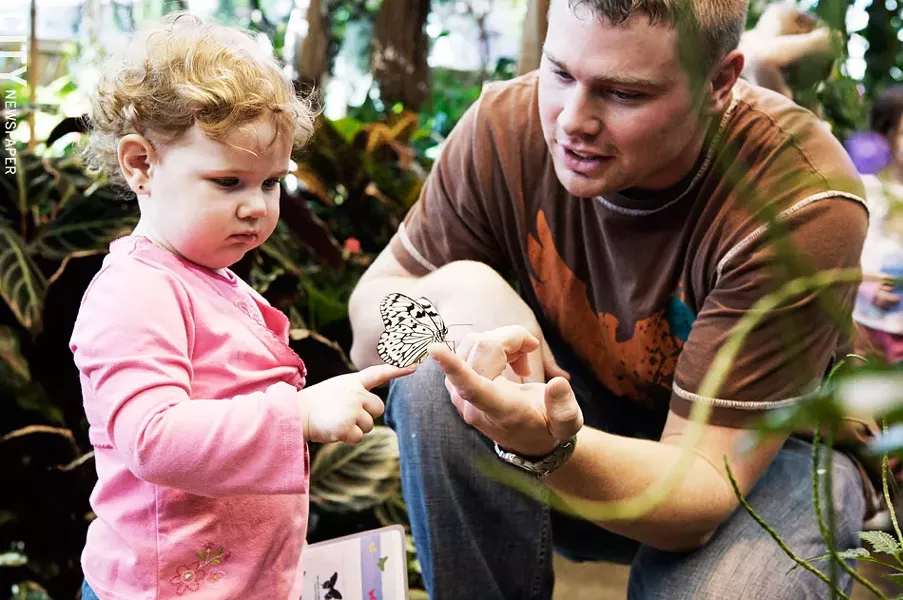 Interact with butterflies at the Museum of Play's Butterfly Garden. - FILE PHOTO
