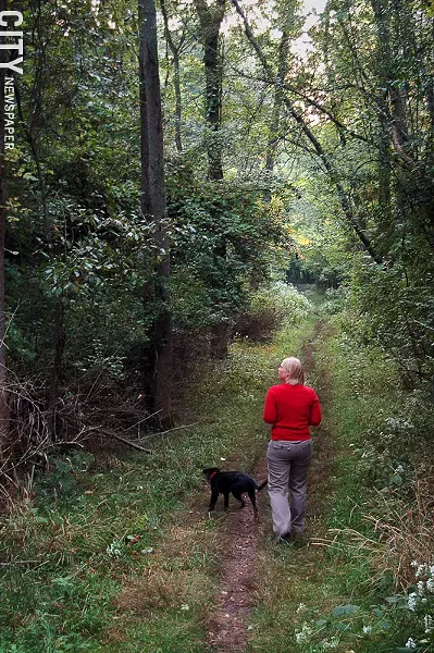 Mendon's natural features include Mendon Ponds Park. - PHOTO BY MATT DETURCK