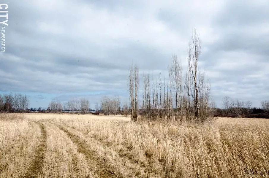 Nature trails near Buck Pond. - PHOTO BY MARK CHAMBERLIN