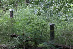 Testing wells protrude from the ground throughout the Vacuum Oil brownfield sites. - PHOTO BY MAX SCHULTE