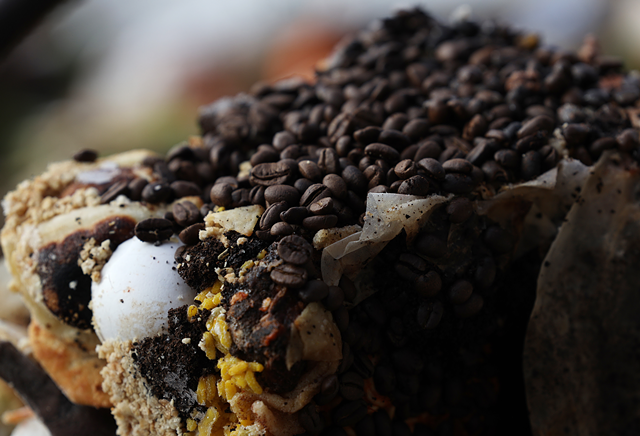 Some of the food scraps collected by Impact Earth during a day's pickups. - PHOTO BY MAX SCHULTE