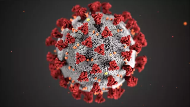An illustration of the coronavirus, COVID-19. - PHOTO PROVIDED BY CENTERS FOR DISEASE CONTROL AND PREVENTION