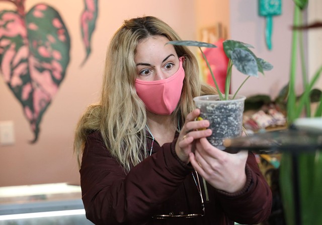 Sydney Luke is suprised by some of the information written on the side of a plant at Stem, a plant shop on Alexander Street that specializes in rare and exotic plants. - PHOTO BY MAX SCHULTE