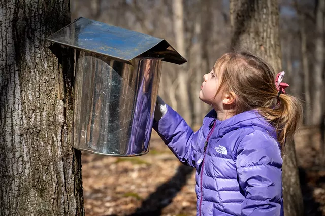 March is prime maple sugaring season, and Genesee Country Village & Museum celebrates with demonstrations, storytelling, and pancake breakfasts. - PHOTO COURTESY GENESEE COUNTRY VILLAGE & MUSEUM