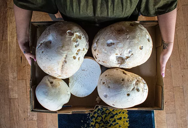 Dk brought a recent puffball mushroom haul to The Revelry, where chef O'Flaherty made them into a mushroom cutlet special. - PHOTO BY JACOB WALSH